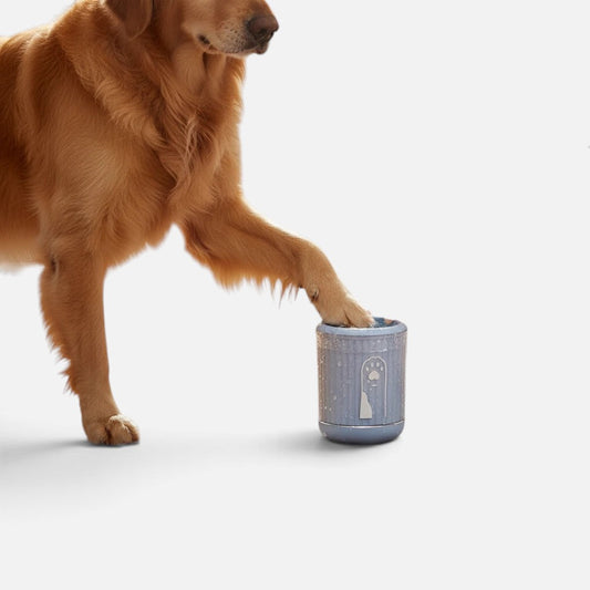 Golden retriever using a blue Tailora portable paw washer cup to clean a muddy paw with soft silicone bristles