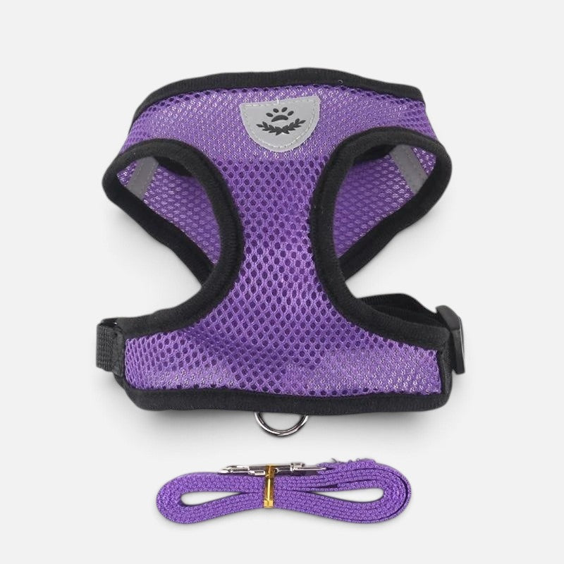 Tailora purple breathable mesh step-in harness and matching leash set for small dogs and cats