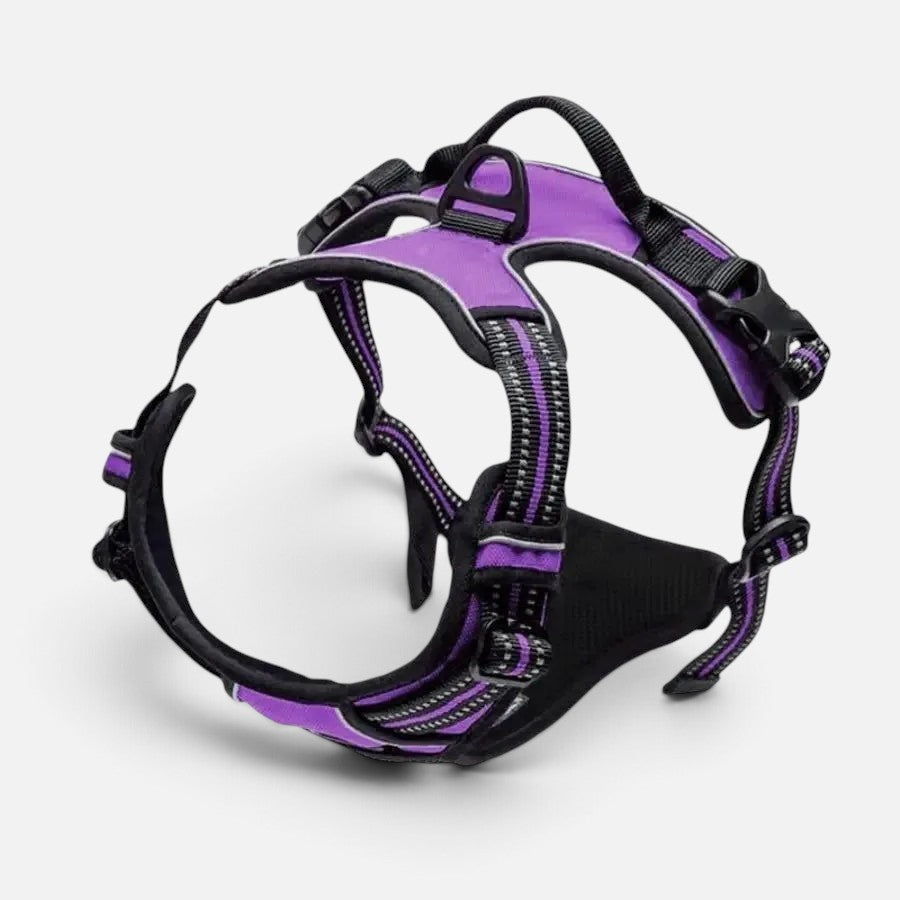 Tailora purple heavy-duty no-pull dog harness with reflective trim, top handle, and dual D-ring attachments.