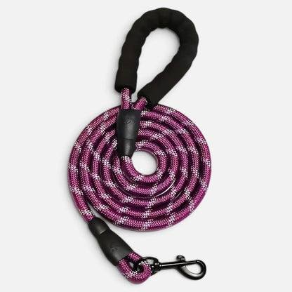 Tailora purple reflective rope dog leash with a soft black neoprene padded handle and heavy-duty metal clasp.