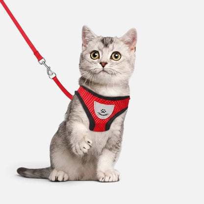 Tailora red breathable air-mesh step-in harness and matching leash worn by a grey tabby cat