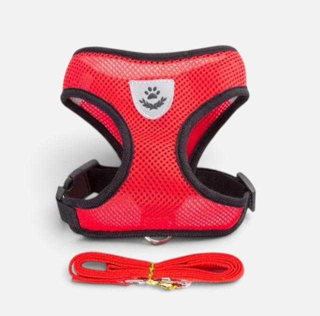 Tailora red breathable mesh step-in harness and matching leash set for small dogs and cats