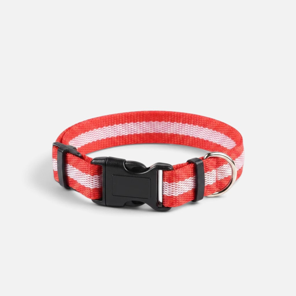 Tailora LED night safety dog collar in red and white striped nylon with a black buckle and metal D-ring