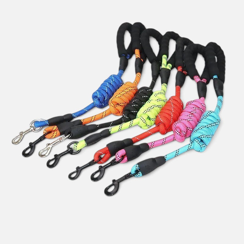 Tailora heavy-duty reflective dog leashes in various bright colors with soft neoprene padded handles and metal clasps.