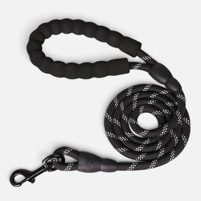 Tailora black reflective dog leash with a soft neoprene padded handle and heavy-duty metal clasp on a white background