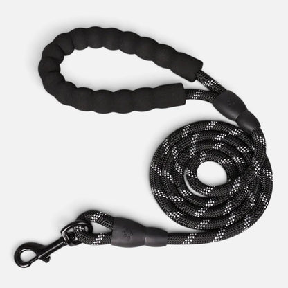 Tailora black reflective dog leash with a soft neoprene padded handle and heavy-duty metal clasp on a white background