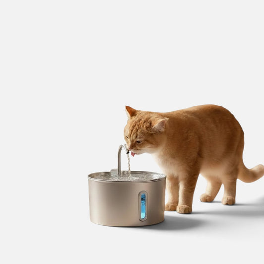 Tailora stainless steel pet water fountain with a ginger cat drinking from the flowing faucet on a white background.