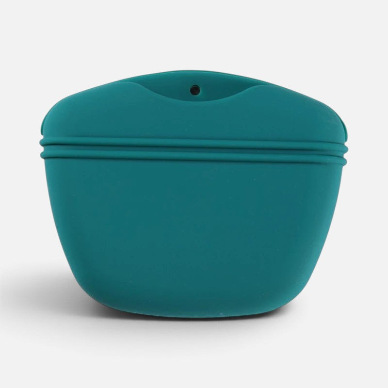 Tailora teal silicone dog treat pouch with magnetic closure for hands-free training